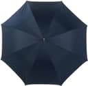 bleu/argenté