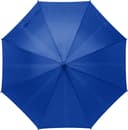 bleu roi