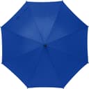 bleu roi